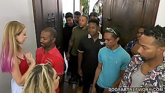 Milf Haley Reed And Her Daughter Kiki Daire Participate In Group Sex With 12 Black Men