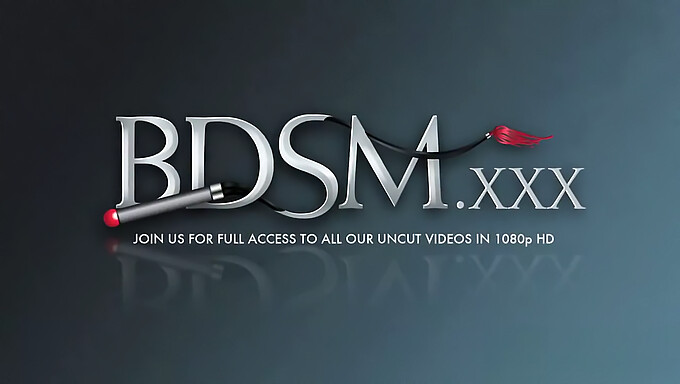 Bdsm Toys And Oral Pleasure In Hd Video