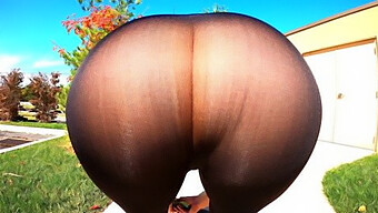 Big Asses ...